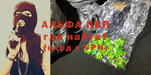 гашик Гусев