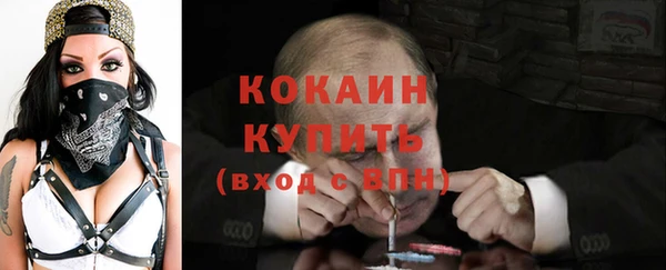 гашик Гусев