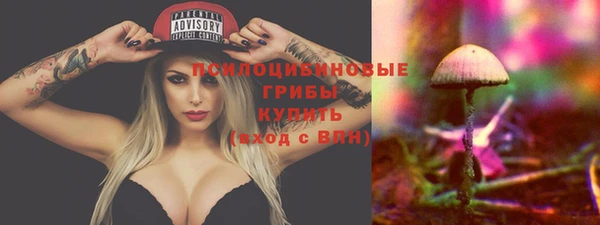 хмурый Гусиноозёрск