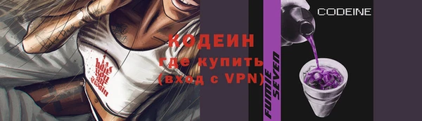 гашик Гусев