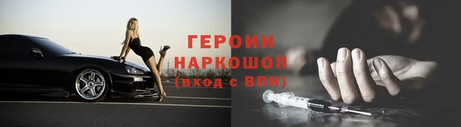 гашик Гусев