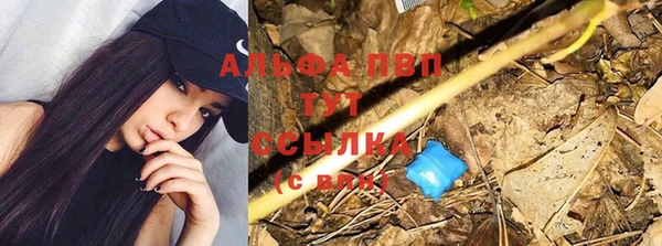 Альфа ПВП Дмитров
