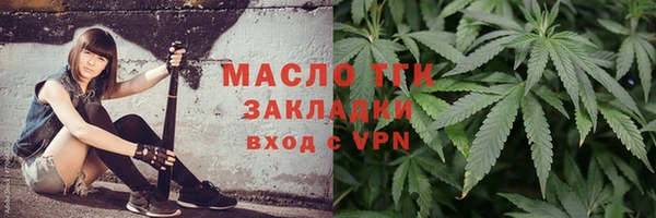 гашик Гусев
