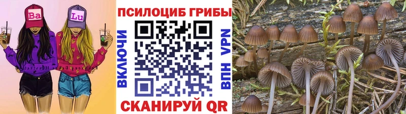 Галлюциногенные грибы Cubensis  купить наркотик  даркнет состав  Дмитровск  OMG ссылка 