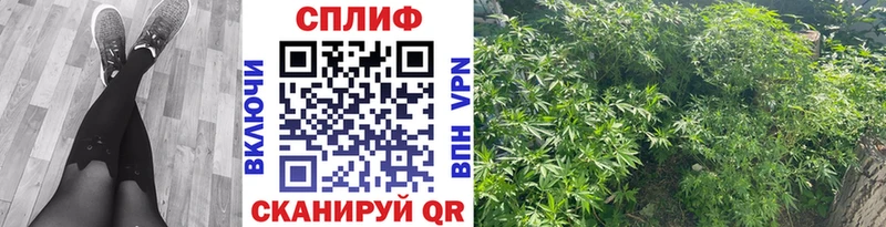 Канабис сатива  KRAKEN ССЫЛКА  Дмитровск  магазин  наркотиков 